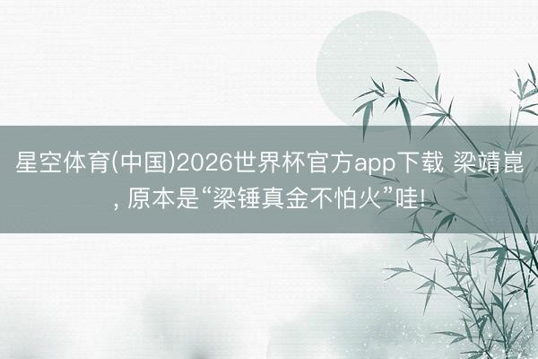 星空体育(中国)2026世界杯官方app下载 梁靖崑， 原本是“梁锤真金不怕火”哇!