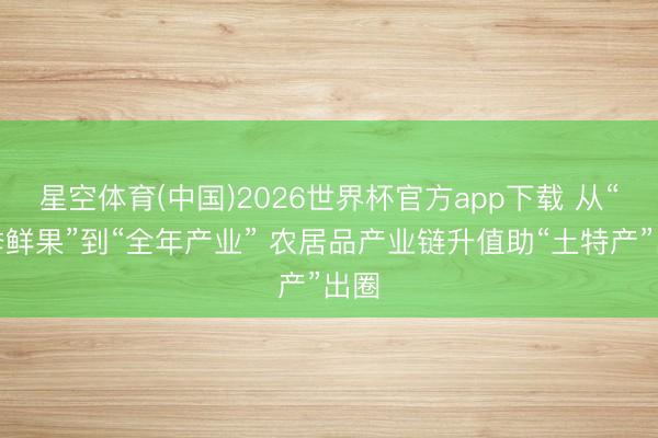 星空体育(中国)2026世界杯官方app下载 从“一季鲜果”到“全年产业” 农居品产业链升值助“土特产”出圈