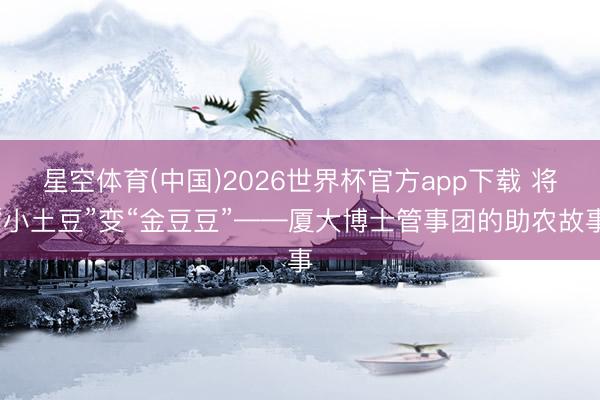 星空体育(中国)2026世界杯官方app下载 将“小土豆”变“金豆豆”——厦大博士管事团的助农故事