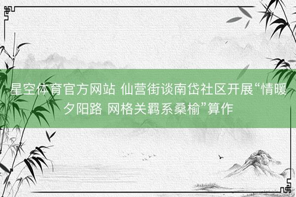 星空体育官方网站 仙营街谈南岱社区开展“情暖夕阳路 网格关羁系桑榆”算作