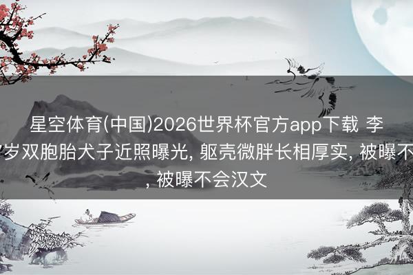 星空体育(中国)2026世界杯官方app下载 李婉华17岁双胞胎犬子近照曝光， 躯壳微胖长相厚实， 被曝不会汉文