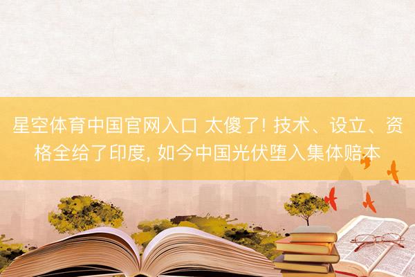 星空体育中国官网入口 太傻了! 技术、设立、资格全给了印度， 如今中国光伏堕入集体赔本