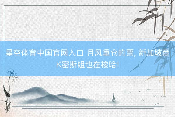星空体育中国官网入口 月风重仓的票， 新加坡商K密斯姐也在梭哈!