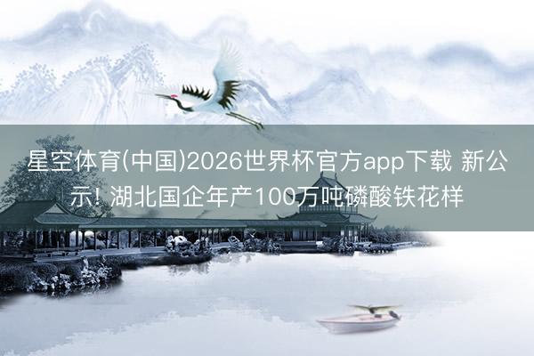 星空体育(中国)2026世界杯官方app下载 新公示! 湖北国企年产100万吨磷酸铁花样