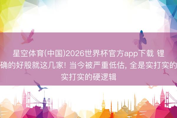 星空体育(中国)2026世界杯官方app下载 锂电池真确的好股就这几家! 当今被严重低估， 全是实打实的硬逻辑