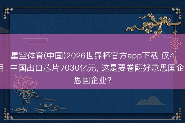 星空体育(中国)2026世界杯官方app下载 仅4个月， 中国出口芯片7030亿元， 这是要卷翻好意思国企业?