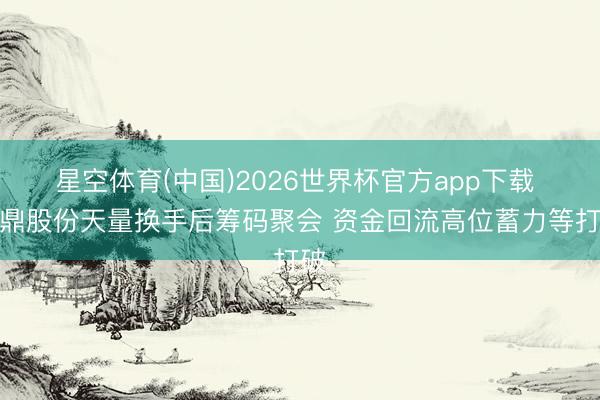 星空体育(中国)2026世界杯官方app下载 永鼎股份天量换手后筹码聚会 资金回流高位蓄力等打破