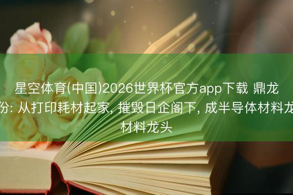 星空体育(中国)2026世界杯官方app下载 鼎龙股份: 从打印耗材起家， 摧毁日企阁下， 成半导体材料龙头
