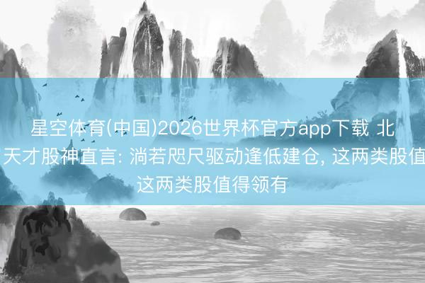 星空体育(中国)2026世界杯官方app下载 北京28岁天才股神直言: 淌若咫尺驱动逢低建仓， 这两类股值得领有