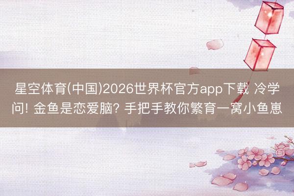 星空体育(中国)2026世界杯官方app下载 冷学问! 金鱼是恋爱脑? 手把手教你繁育一窝小鱼崽