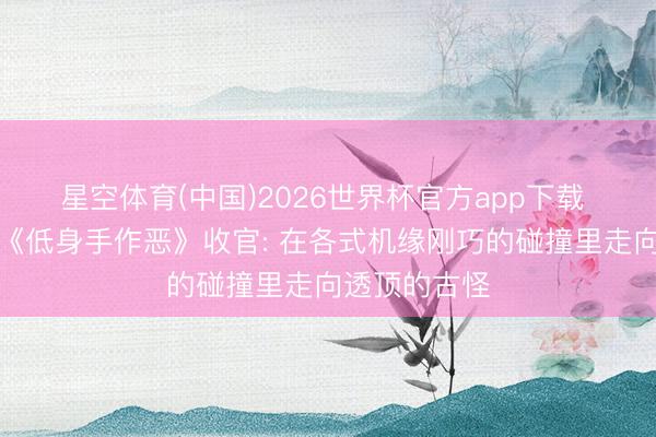 星空体育(中国)2026世界杯官方app下载 热议悬疑剧《低身手作恶》收官: 在各式机缘刚巧的碰撞里走向透顶的古怪