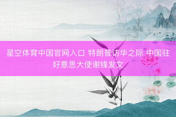 星空体育中国官网入口 特朗普访华之际 中国驻好意思大使谢锋发文