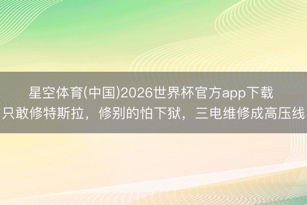 星空体育(中国)2026世界杯官方app下载 只敢修特斯拉，修别的怕下狱，三电维修成高压线