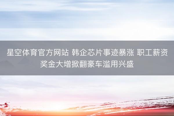 星空体育官方网站 韩企芯片事迹暴涨 职工薪资奖金大增掀翻豪车滥用兴盛