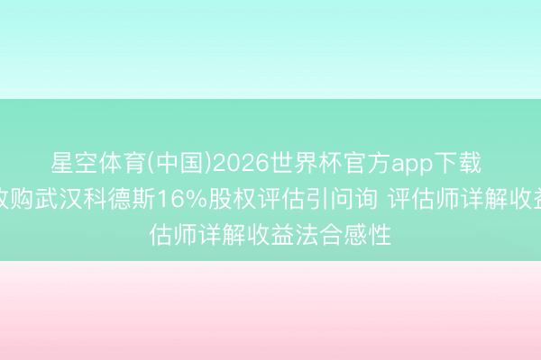 星空体育(中国)2026世界杯官方app下载 瑞立科密收购武汉科德斯16%股权评估引问询 评估师详解收益法合感性