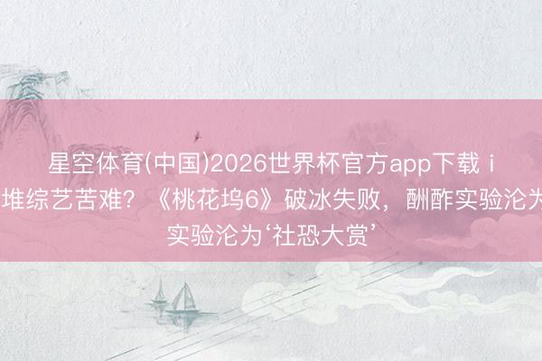 星空体育(中国)2026世界杯官方app下载 i东说念主扎堆综艺苦难？《桃花坞6》破冰失败，酬酢实验沦为‘社恐大赏’