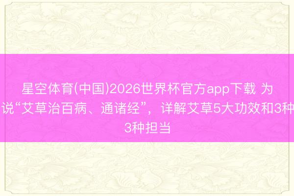 星空体育(中国)2026世界杯官方app下载 为什么说“艾草治百病、通诸经”，详解艾草5大功效和3种担当